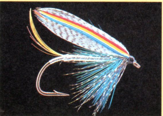 ４５７．Beard　Hackle　（第２弾）_a0054043_20491551.jpg