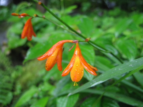 c0145449_2158189.jpg