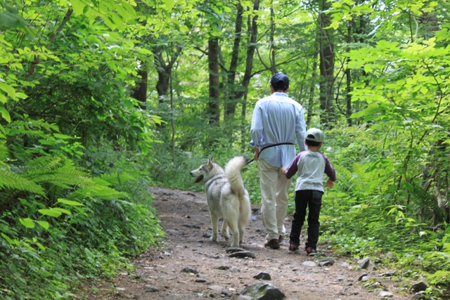 犬と歩く裏磐梯 犬とのくらし