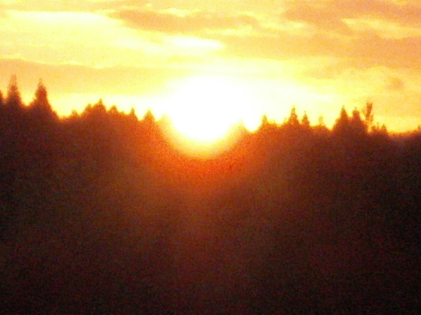 a0174458_05817.jpg