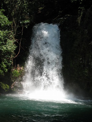 a0093965_21244132.jpg