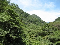 a0093965_224846.jpg