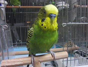 f0196665_03025.jpg