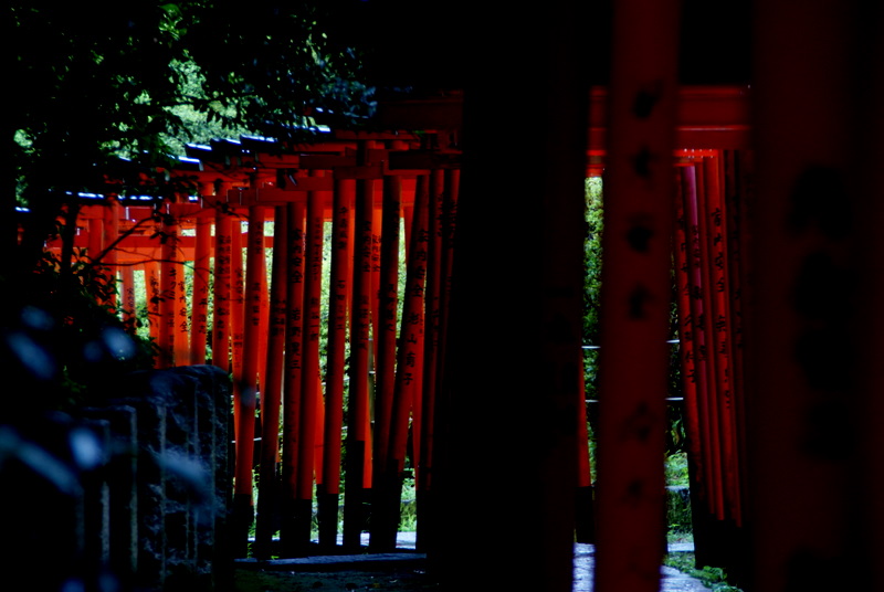 110825 根津神社_f0007272_2159019.jpg