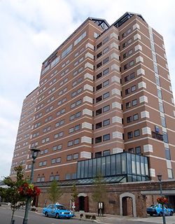 e0088576_84514.jpg