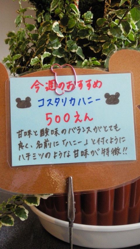 d0221277_1548149.jpg