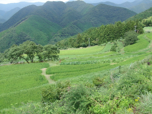 夏休み_b0205379_1156139.jpg