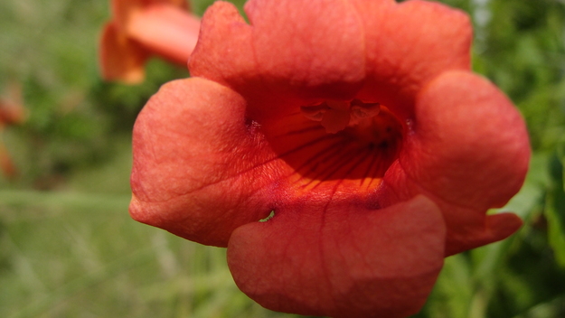 e0024081_1611467.jpg