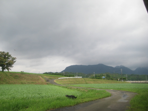 削り作業と壁掛け仕上げ。_d0195183_201625.jpg