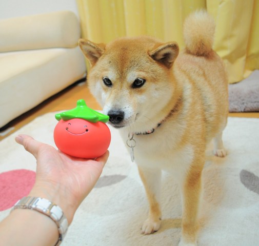 美味しいよ!_a0126590_0433941.jpg
