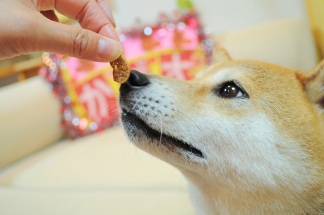 美味しいよ!_a0126590_0565076.jpg
