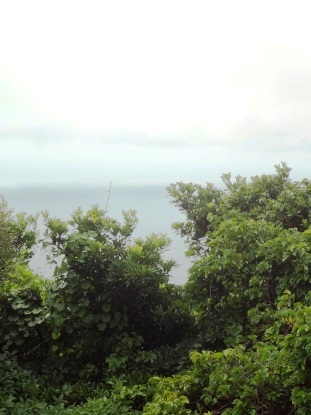 e0137390_9462690.jpg