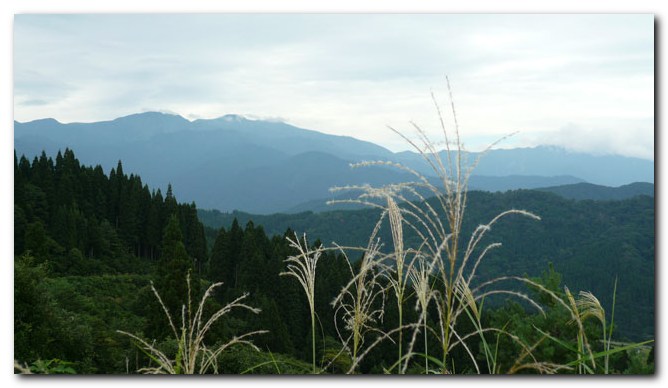 鳥越～西山～白峰_f0079990_757267.jpg