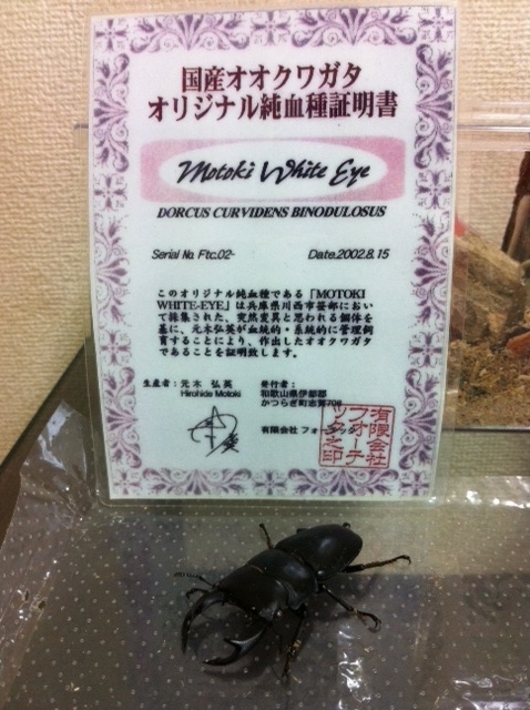 2週間前~_f0236990_033434.jpg