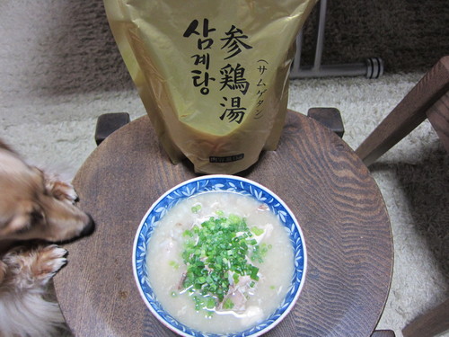 参鶏湯 通販_b0200291_2072277.jpg
