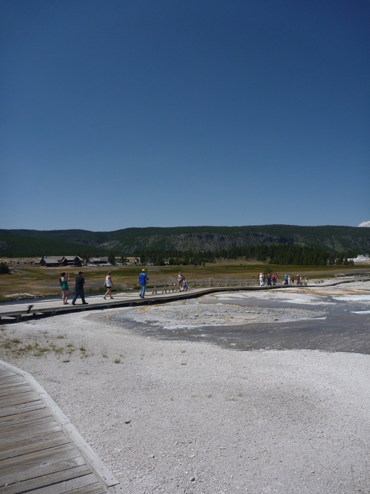 a0141892_79149.jpg