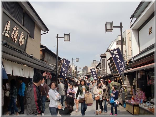 柴又帝釈天題経寺_e0075693_1048241.jpg