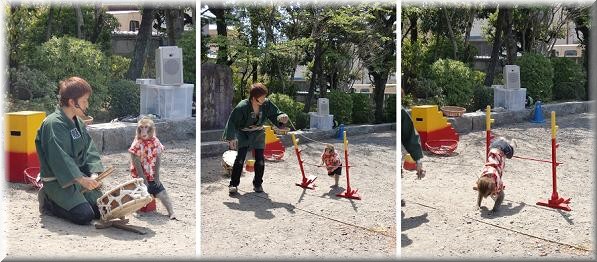 柴又帝釈天題経寺_e0075693_1151675.jpg