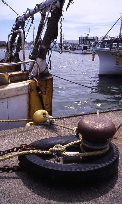 c0214494_2027436.jpg