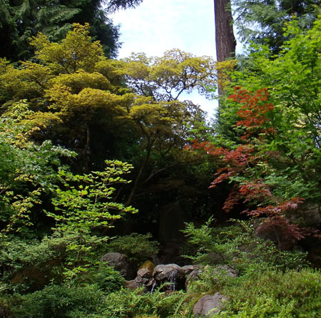 Japanese Garden_d0000995_10553414.jpg