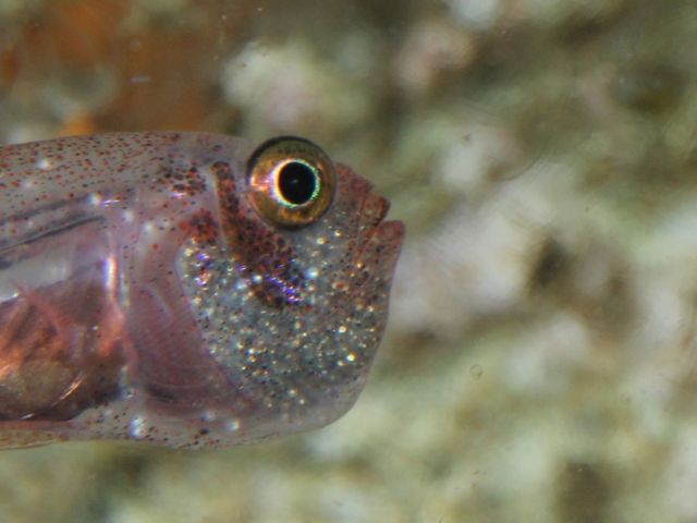 f0053895_16522135.jpg