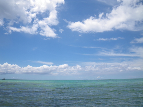 c0193396_17433044.jpg