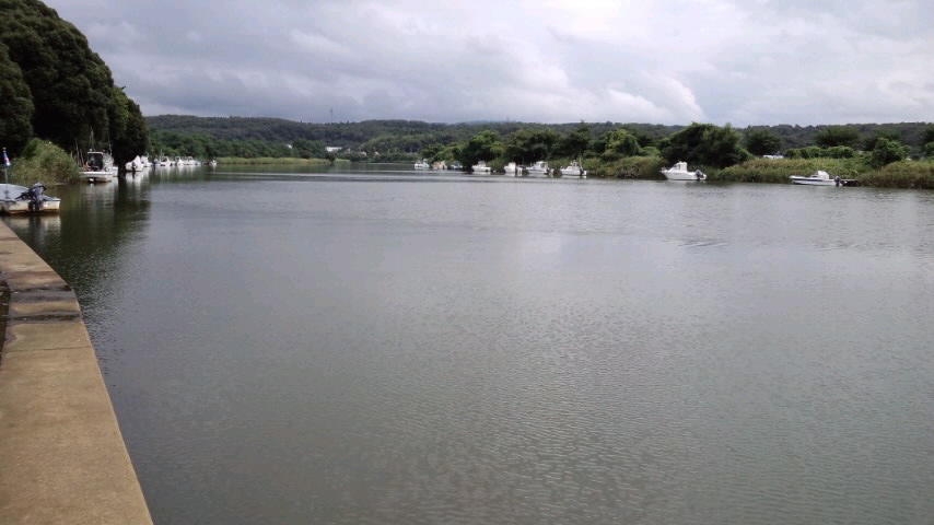 d0093903_6164415.jpg