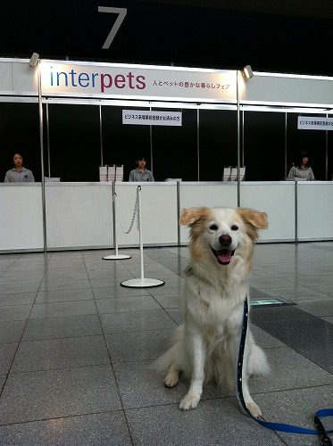 Interpets （インターペット）　-人とペットの豊かな暮らしフェア　レポーター！_a0032004_264096.jpg