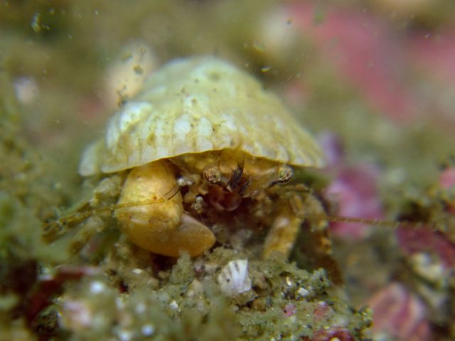 d0175710_2233428.jpg