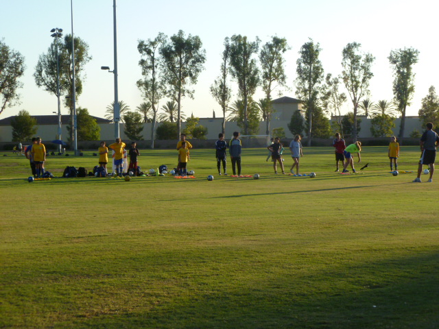 a0144811_735387.jpg