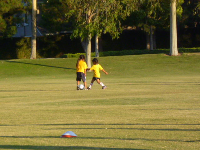 a0144811_7365793.jpg