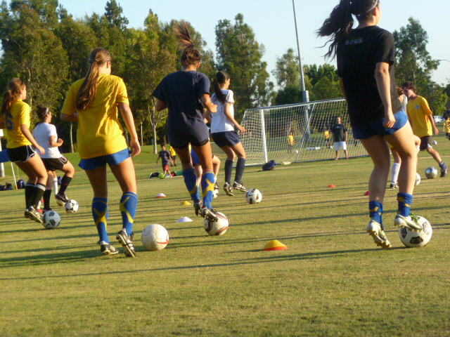 a0144811_7385834.jpg