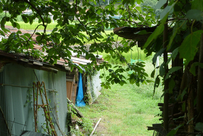 b0130112_22162388.gif