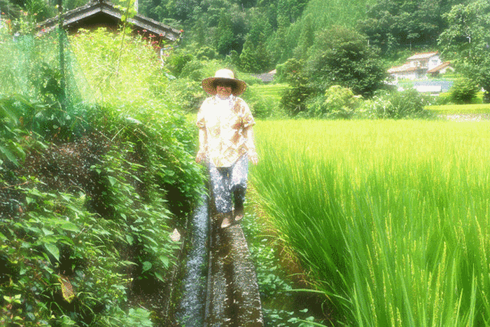 b0130112_2224149.gif