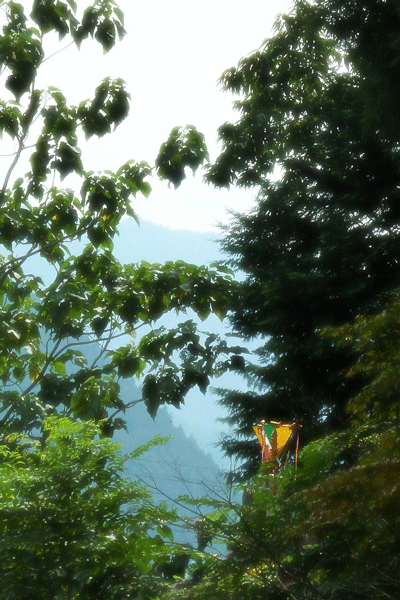 b0130112_22305792.gif