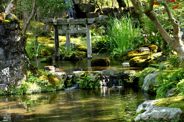 南禅寺 大寧軒_e0048413_2065123.jpg