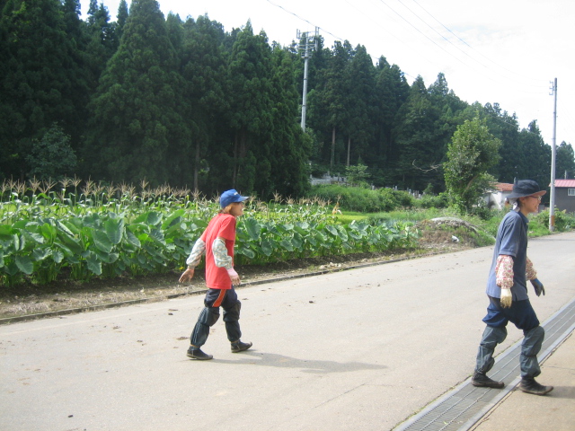 球根植え完了☆_f0067514_850563.jpg