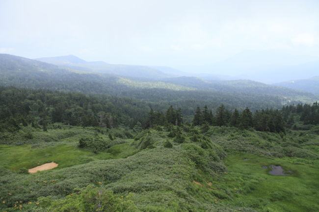 2011年8月 東北ぶらり旅 vol.1_c0119819_15321264.jpg