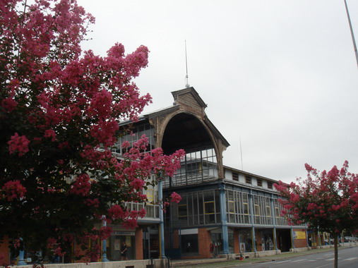 c0124619_04332.jpg