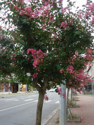 c0124619_045463.jpg