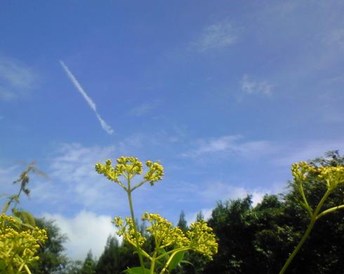 c0097620_21431365.jpg