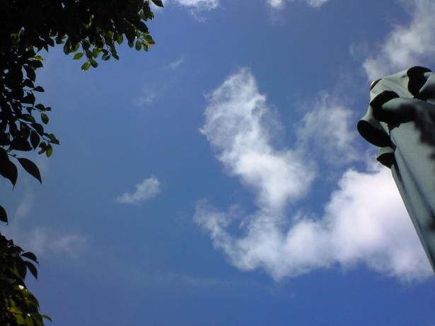 c0097620_2143536.jpg