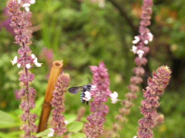 c0204121_16484827.jpg