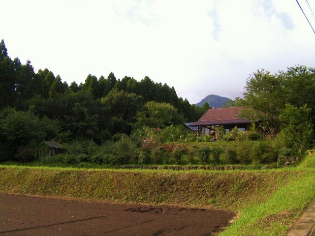 c0204121_16594811.jpg