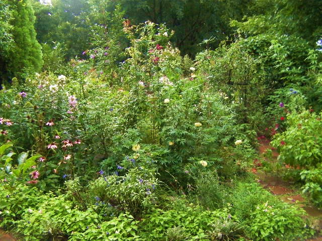 c0204121_18243290.jpg