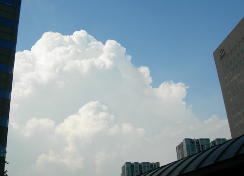 今日の空　～もくもく入道雲_f0029921_2226128.jpg