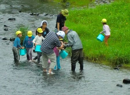  保育園児の水生生物観察！_b0141528_516247.jpg