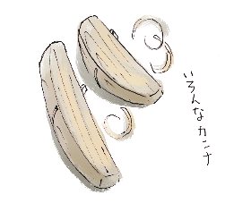 カンナいっぱい_d0190828_6141429.gif