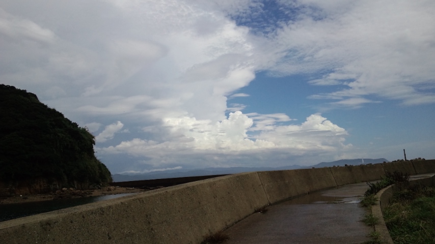 d0154538_15371621.jpg