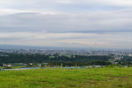 富久樹園カフェの桃シャーベット　2011_e0228938_2027078.jpg